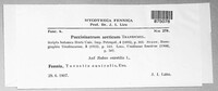 Aculeastrum arcticum image